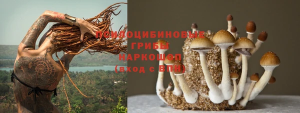 МДПВ Балабаново