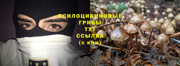 молекула духа Армянск
