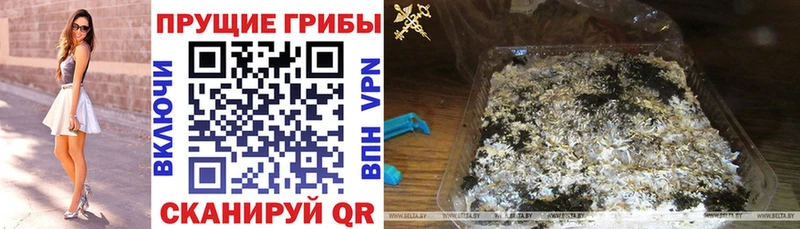 Псилоцибиновые грибы мухоморы  гидра зеркало  shop как зайти  Стародуб 